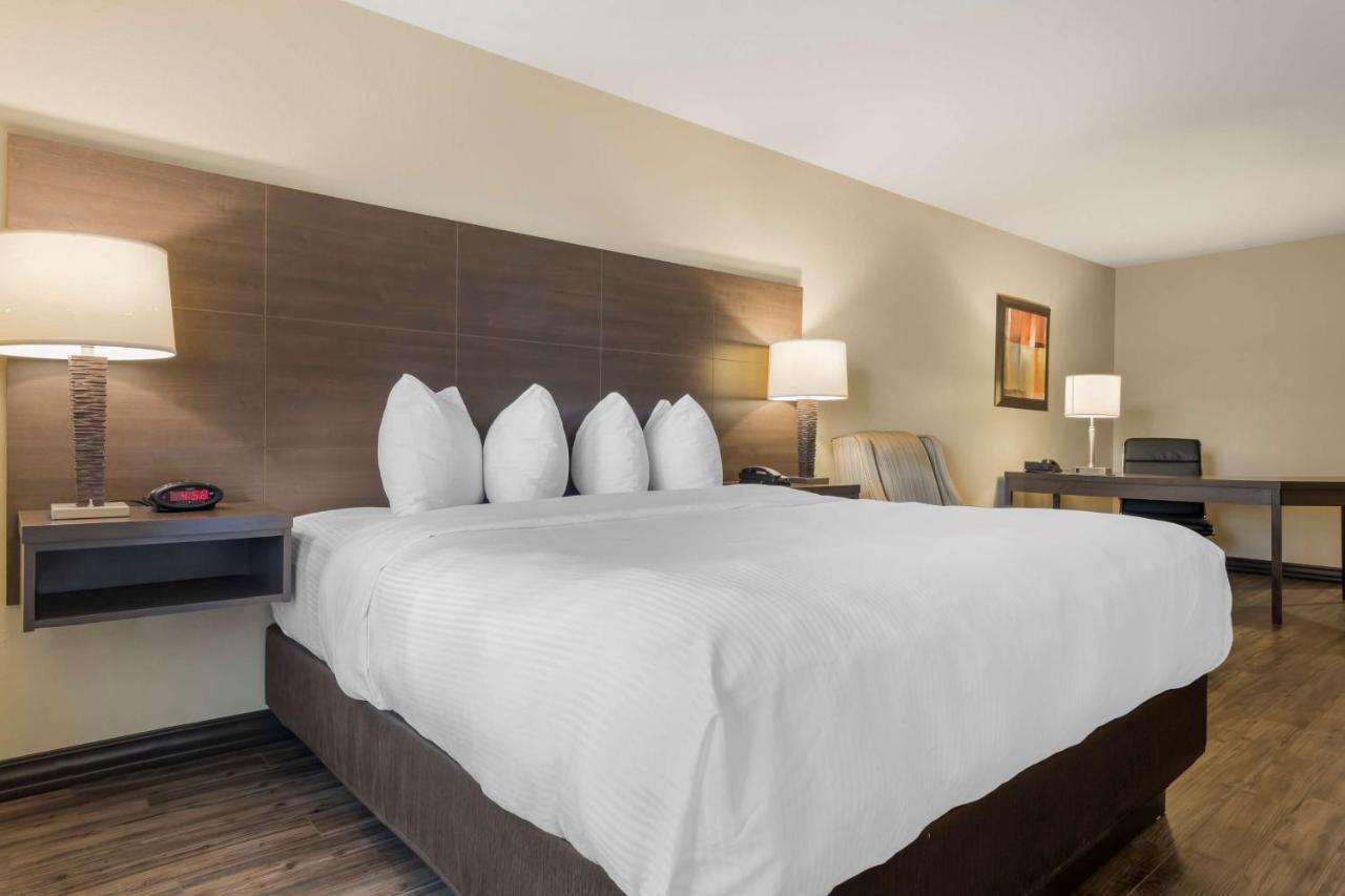 BEST WESTERN PLUS Saint John Hotel&Suites Exterior foto
